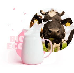 Cow whith milk